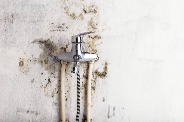Water Damage Restoration in Frederic, WI