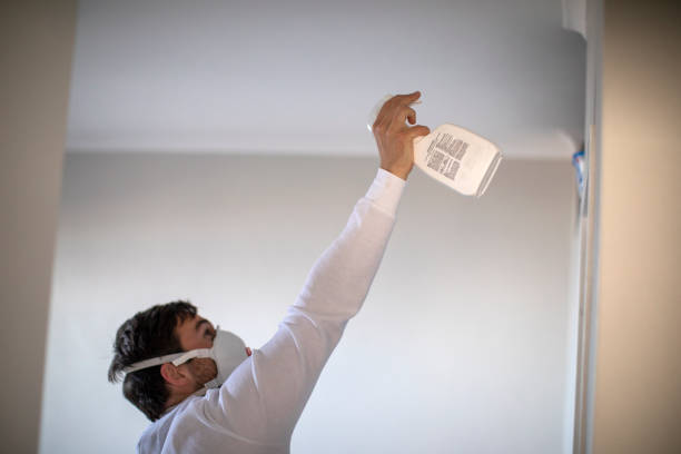 Best Mold Testing  in Frederic, WI