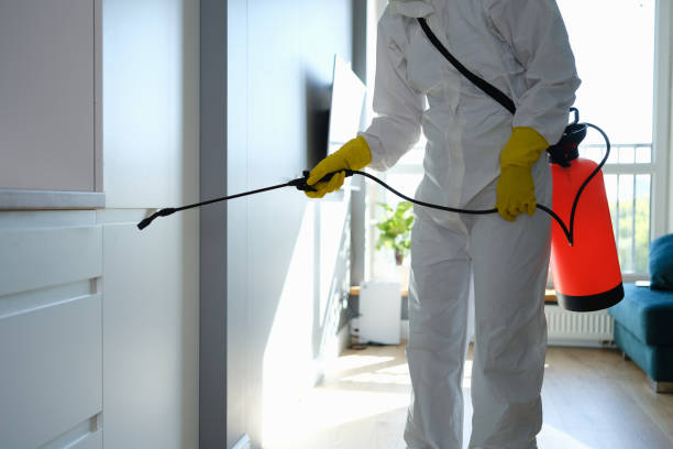 Best Crawl Space Mold Removal  in Frederic, WI