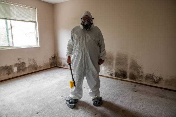 Frederic, WI Mold Removal Company